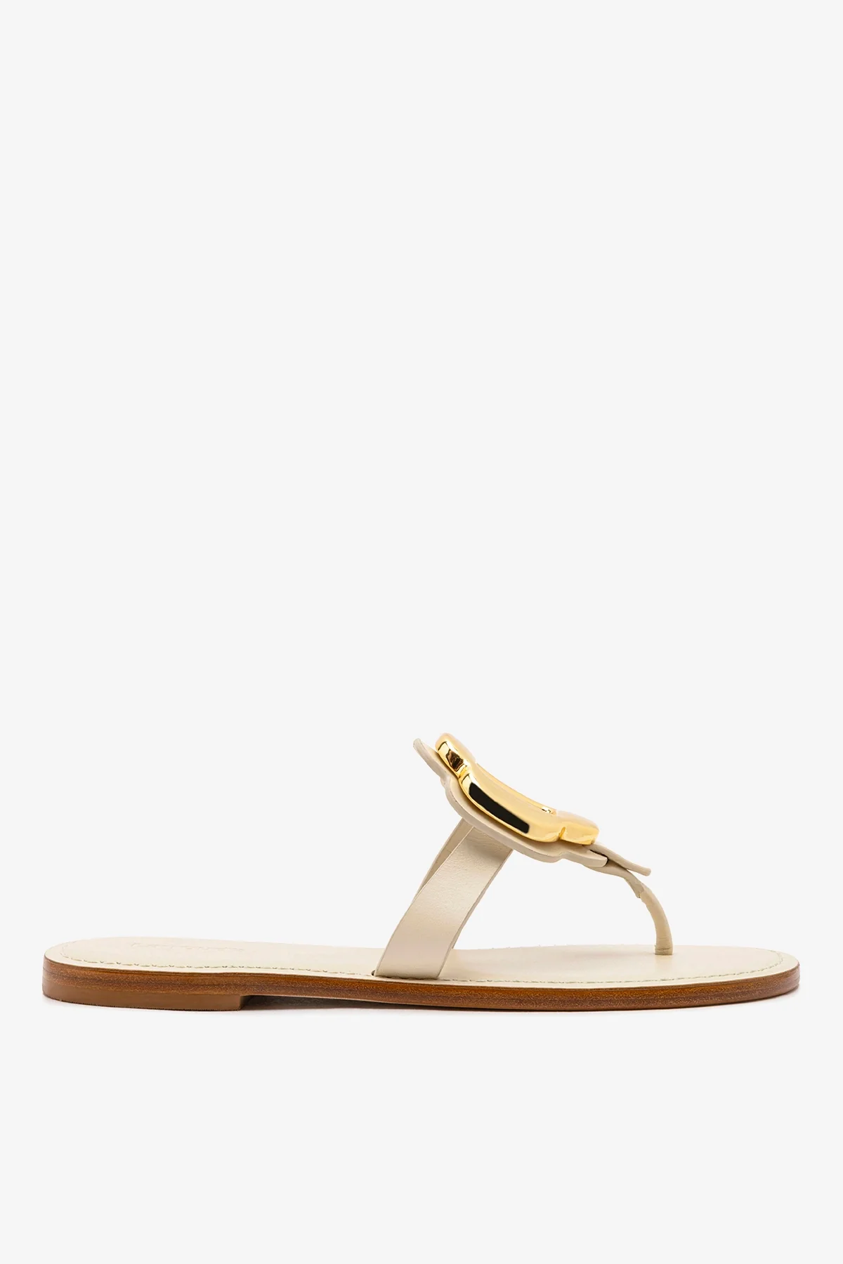 Margherita Thong Sandal in Ivory Leather and Gold Hardware