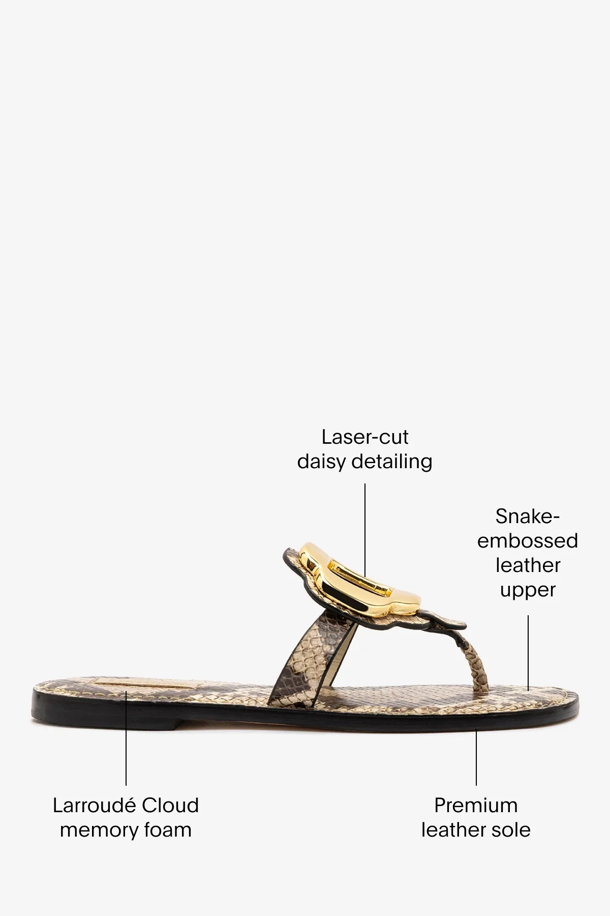 Margherita Thong Sandal in Neutral Snake Leather and Gold Hardware - Image 5