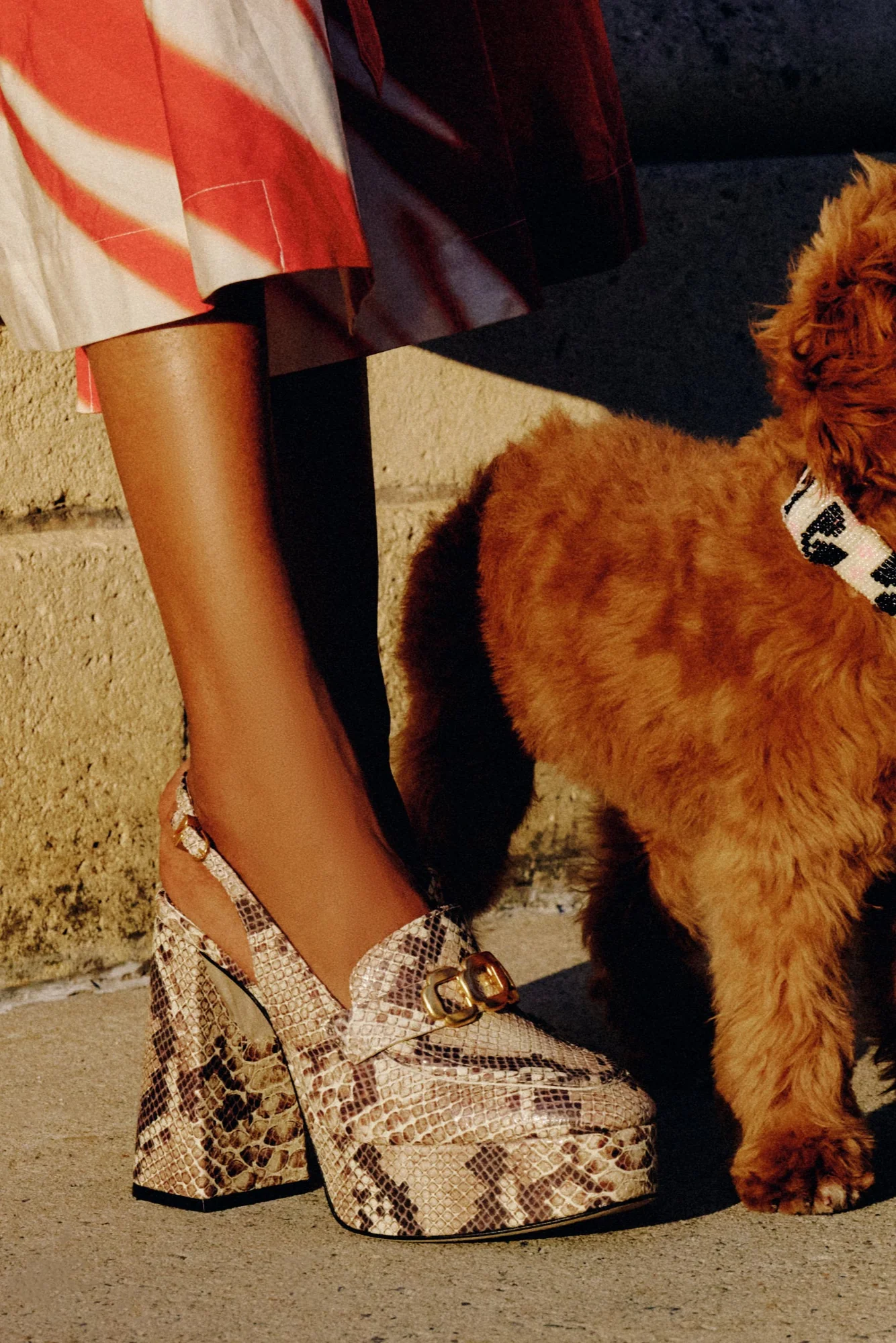 Harrington Loafer Hi In Neutral Snake Stamped Leather - Image 2